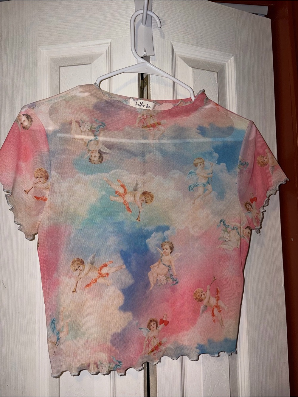 Better Be Cherub Angel Sheer Mesh Crop Top Pink Blue